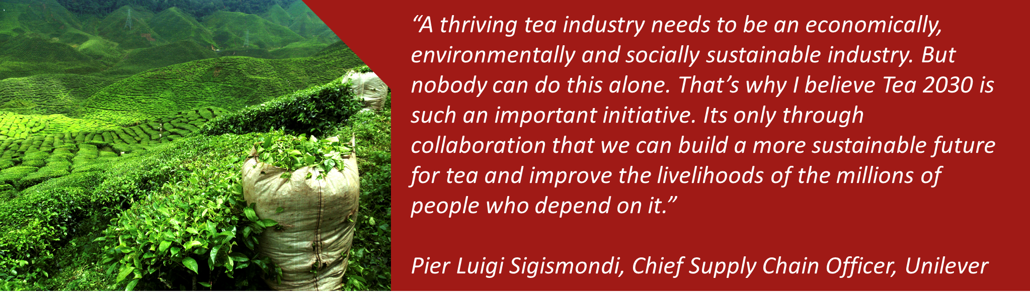 Quote from Pier Luigi